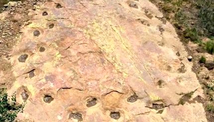 ردپاهای دایناسور ۱۵۰ میلیون ساله با پای لنگ در آمریکا کشف شد