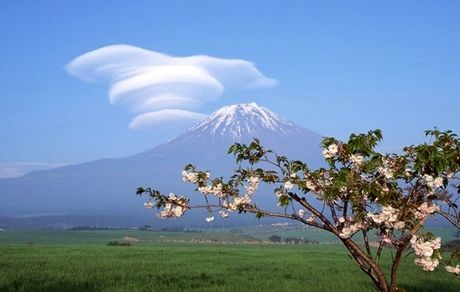  آسمانی آفتابی در اغلب شهرها/باد و گرد و خاک در چندین استان کشور تا روزهای آینده