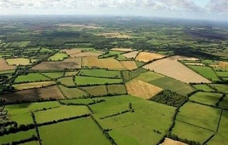 از صرفه‌جویی ارزی تا سیاست‌های تشویقی در اجرای الگوی کشت