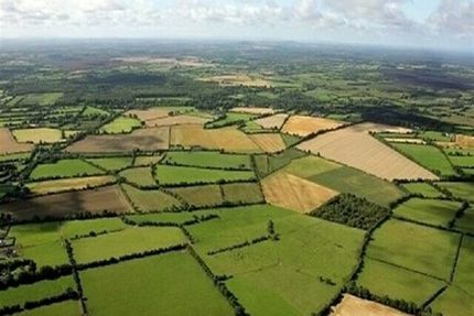 از صرفهجویی ارزی تا سیاستهای تشویقی در اجرای الگوی کشت