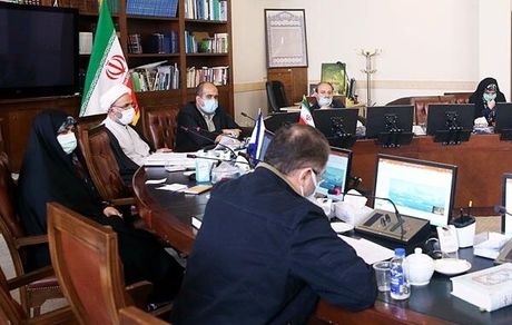 ورود کمیسیون اصل نود به پرونده واردات کالاهای لوکس