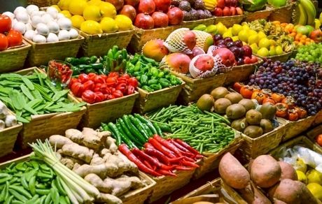 تولید ۱۵۲ هزار تن انواع محصولات باغی و گلخانه‌ای در سیستان و بلوچستان