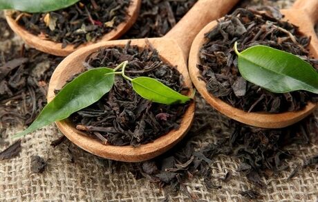 نیاز بازار به چای سیاه در ایران سالانه ۷۵ هزار تن است