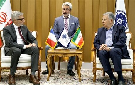 تاکید بر گسترش همکاری‌های ایران و فرانسه در حوزه‌های غیرتحریمی مانند کشاورزی، آب و دارو 