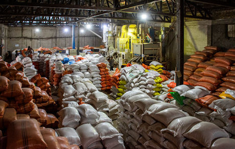 درج قیمت مصرف‌کننده بر کیسه‌های برنج داخلی و خارجی الزامی شد