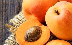 کاهش بقای سلول‌های سرطان خون با عصاره هسته زردآلو