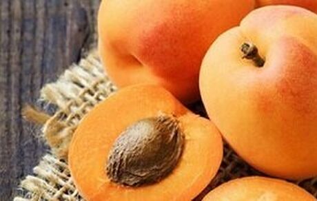 کاهش بقای سلول‌های سرطان خون با عصاره هسته زردآلو
