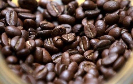 کدام مواد غذایی سال آینده ارزان می‌شوند؟