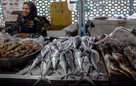 قاچاق گسترده به دوبی