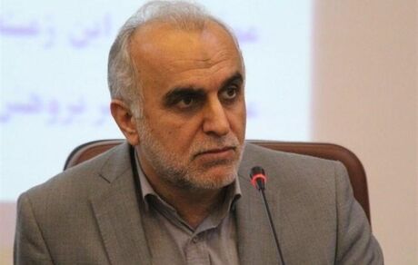 وزیر اقتصاد اخذ مالیات از سپرده های بانکی را تکذیب کرد  