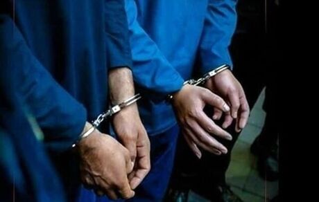 دستگیری ۳ متهم آتش سوزی عمدی و شعارنویسی در نکا