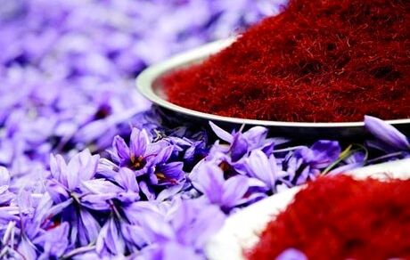 نباید در تولید و تجارت زعفران، پسته و فرش احساسی عمل کرد