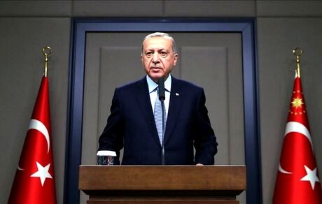 اردوغان: مکرون مرگ مغزی خودش را بررسی کند
