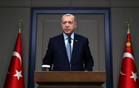 اردوغان: مکرون مرگ مغزی خودش را بررسی کند