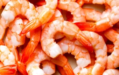 افزایش ۳۰۰ درصدی برداشت میگو در راه است