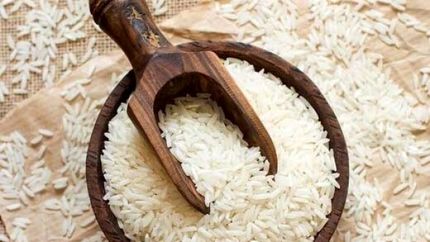 برنج‌کاران مازندرانی پیش‌بینی افزایش قیمت دارند