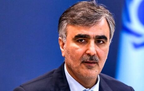 فرزین، رئیس کل بانک مرکزی ماند
