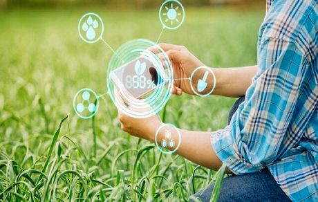 ایجاد اولین پردیس فناوری کشاورزی با هدف هوشمندسازی در کشور/ تسهیلات اعطایی در طرح دستیار فناور