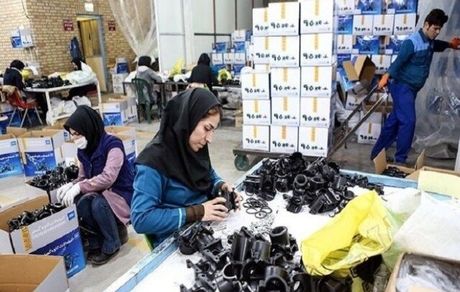 استان تهران در صدر بیشترین تعداد تعاونی فعال