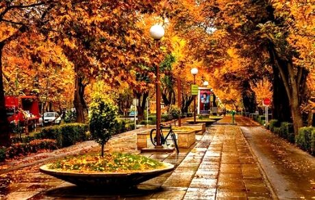 کاهش دمای ۸ استان به زیر صفر/ از محصولات کشاورزی محافظت کنید