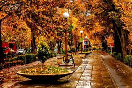 کاهش دمای ۸ استان به زیر صفر/ از محصولات کشاورزی محافظت کنید