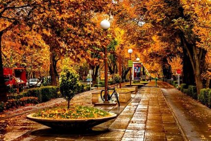 کاهش دمای ۸ استان به زیر صفر/ از محصولات کشاورزی محافظت کنید