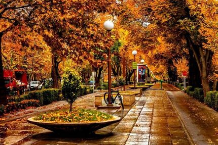کاهش دمای ۸ استان به زیر صفر/ از محصولات کشاورزی محافظت کنید