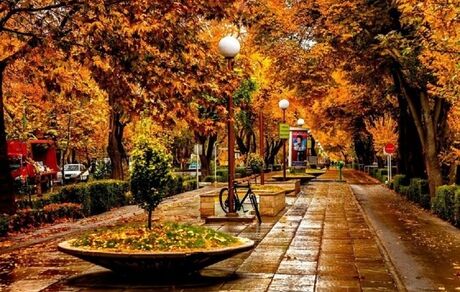 کاهش دمای ۸ استان به زیر صفر/ از محصولات کشاورزی محافظت کنید