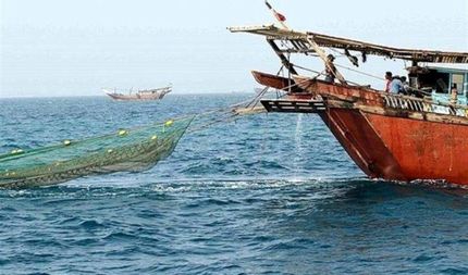 توقیف کشتی غیرمجاز صید ترال در گناوۀ بوشهر