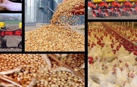 بخش کشاورزی و منابع طبیعی در ۳۰ سال آینده با چالش‌های زیادی مواجه خواهدشد