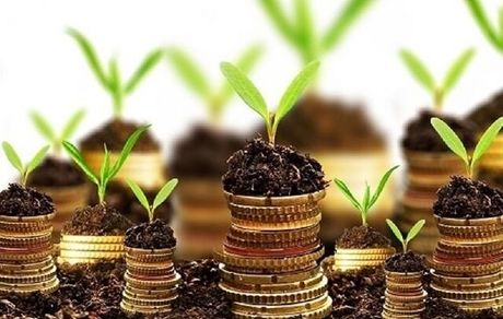 جزئیات حمایت ۱۰۰ میلیونی از پایان‌نامه‌های محصول‌محور