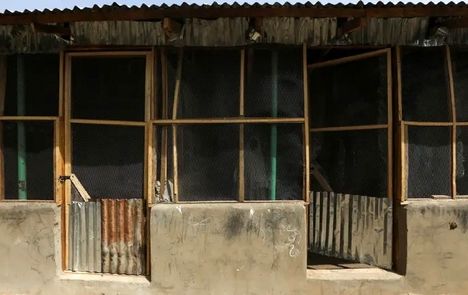 مردان مسلح، ۵۰ نفر را در یکی از روستاهای نیجریه کشتند و تعدادی را ربودند