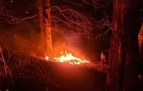 خاموش شدن آتش جنگل‌های نوشهر