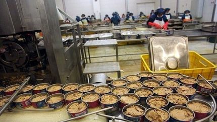 تعطیلی نزدیک کارخانجات تولید کنسرو