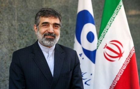 کمالوندی: شنبه در فردو به غنای ۴.۲ درصد می‌رسیم
