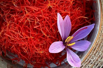 این زعفران در بازار جعلی و غیراستاندارد است