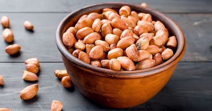 این خوردنی، حافظه را تقویت می‌کند