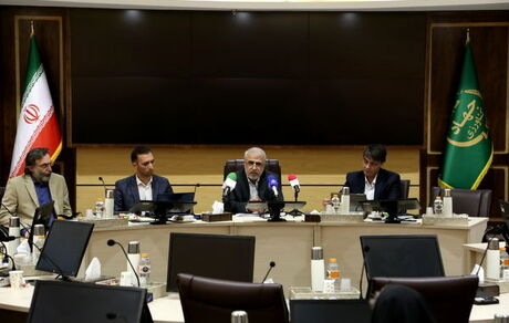دولت امسال ۶ میلیون تن گندم خرید تضمینی خواهدداشت