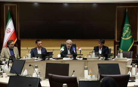 دولت امسال ۶ میلیون تن گندم خرید تضمینی خواهدداشت