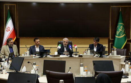 دولت امسال ۶ میلیون تن گندم خرید تضمینی خواهدداشت