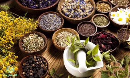 ایران،  رتبه چهارم تولید علم طب‌سنتی در دنیا را داراست