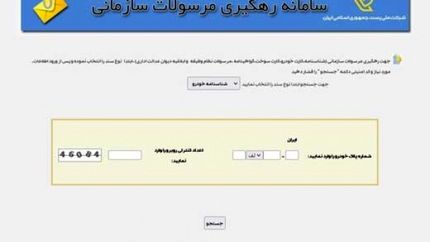 امکان پیگیری گذرنامه با کدملی امکان پذیر شد