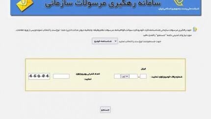 امکان پیگیری گذرنامه با کدملی امکان پذیر شد