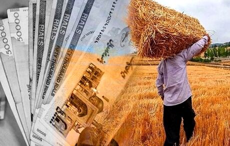 پرداخت تمام و کمال مطالبات گندمکاران استان آذربایجان‌غربی
