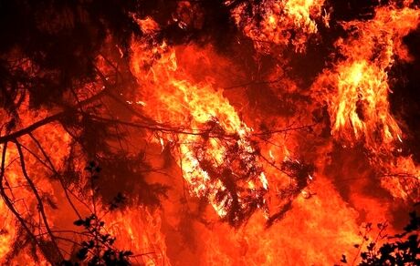 بخشی از جنگل‌های نوشهر آتش گرفت
