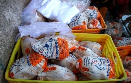 هشدار اتحادیه مرغداران: تاریخ انقضای مرغ‌های وارداتی رو به اتمام است