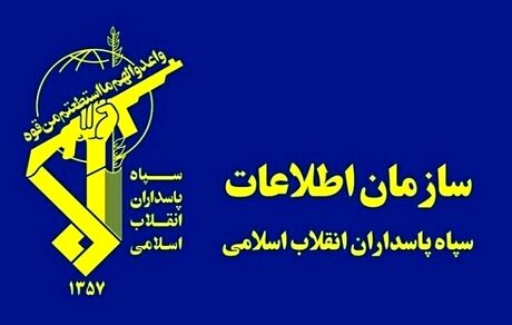 سازمان اطلاعات سپاه: راهبرد دولت ترامپ برای مهار چین، روسیه و اروپا شکست خورد