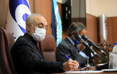 صالحی: ملاحظات اصولی ایران در بیانیه مشترک با آژانس در نظر گرفته شد