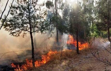 مهار آتش سوزی مناطق حفاظت شده درفک شهرستان رودبار