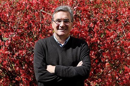 برانکو: حالم خوب نبود و نتوانستم بازی را تماشا کنم